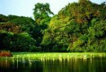 /album/fotogaleria-amazonas1/images-1-jpg6/